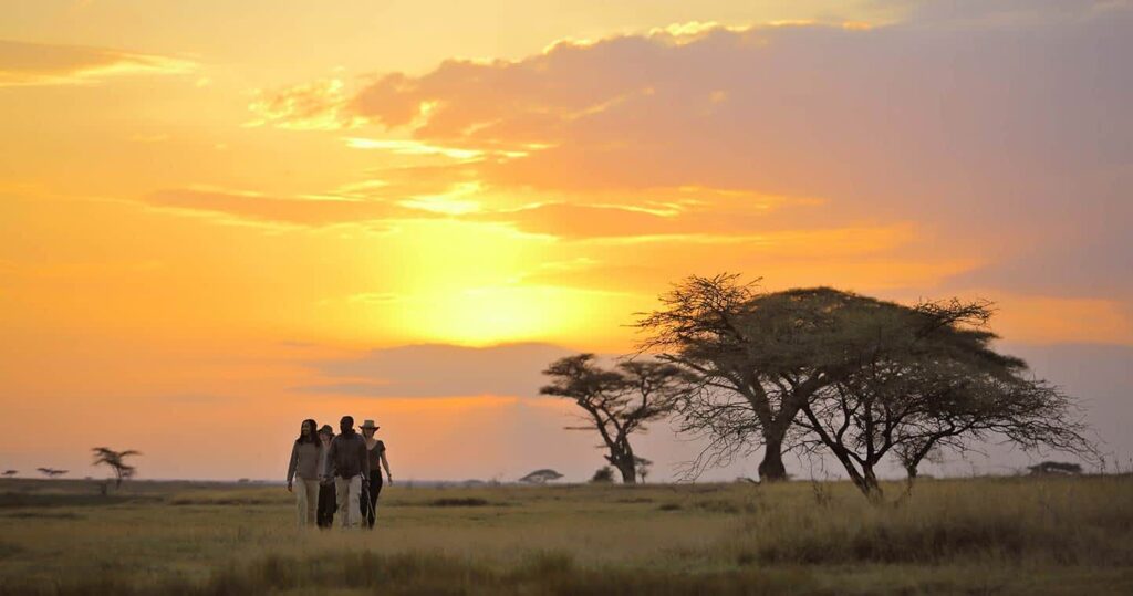 bush-walk-serengeti-national-park